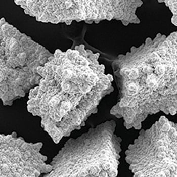 uncoated-borazon-bmp-powder.jpg