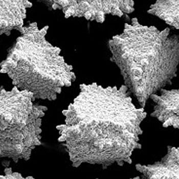 borazon-cbn-resin-bond-powder.jpg