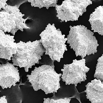 resin-bond-premium-diamond-abrasives.jpg